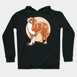 Nova Scotia Duck Tolling Retriever Looking At The Sky Hoodie